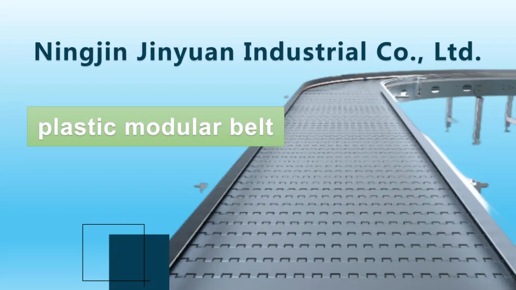 Hot Sale Conveyor Belt for Meat/Poultry Vegetables/Modular Plastic Conveyor Belt