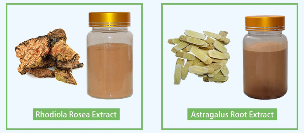 Saw Palmetto 25% Fatty Acid