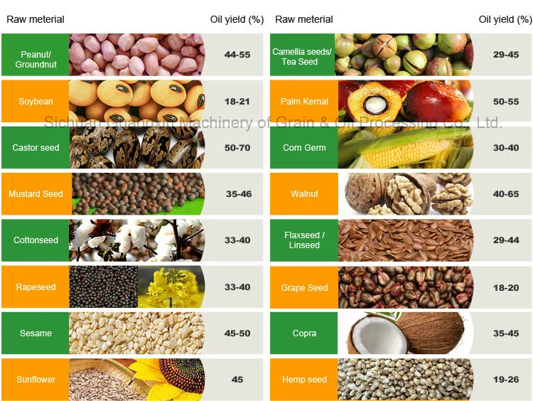 270kg/H Capacity Soya Sunflower Mustard Peanut Palm Kernel Coconut Screw Cold Oil Making Oil Expeller Machine